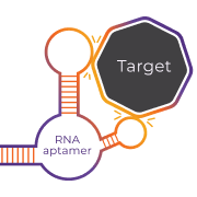 Icon depicting binding affinity